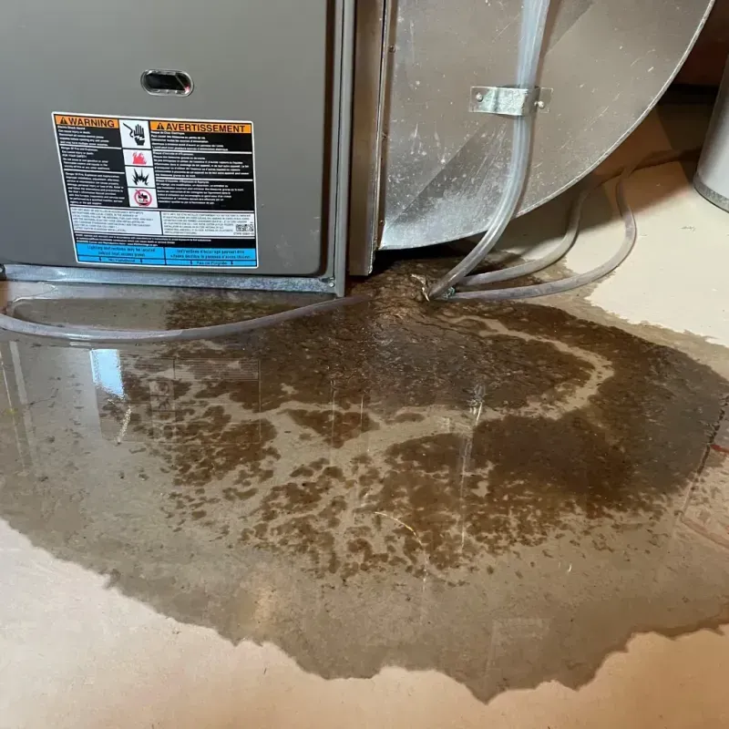 Appliance Leak Cleanup in Monticello, IN